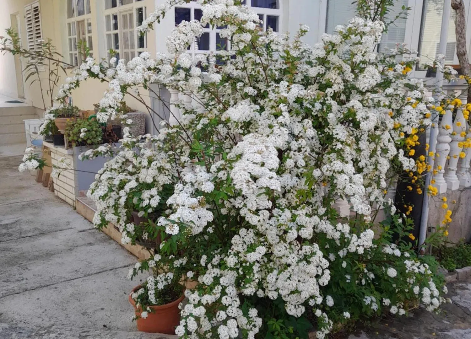 Appartement Apartmani Dalmacija Biograd Na Moru Kroatië